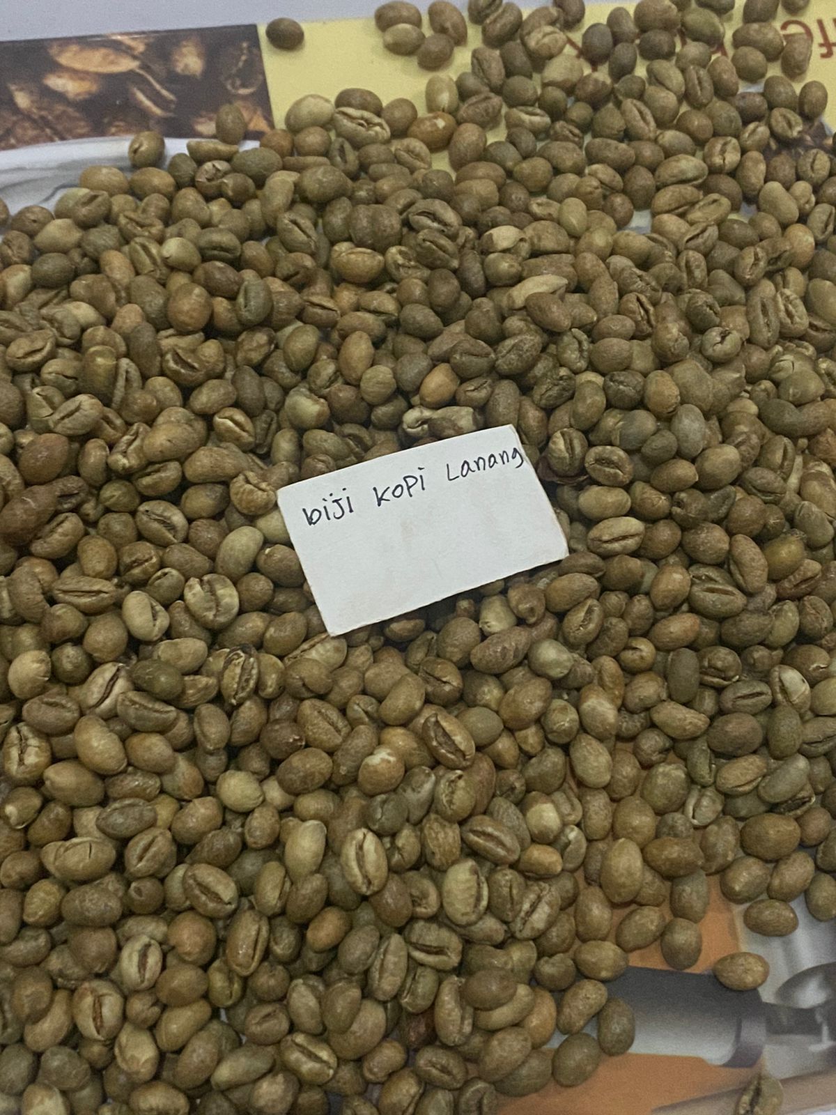 Palletized coffee bags in warehouse