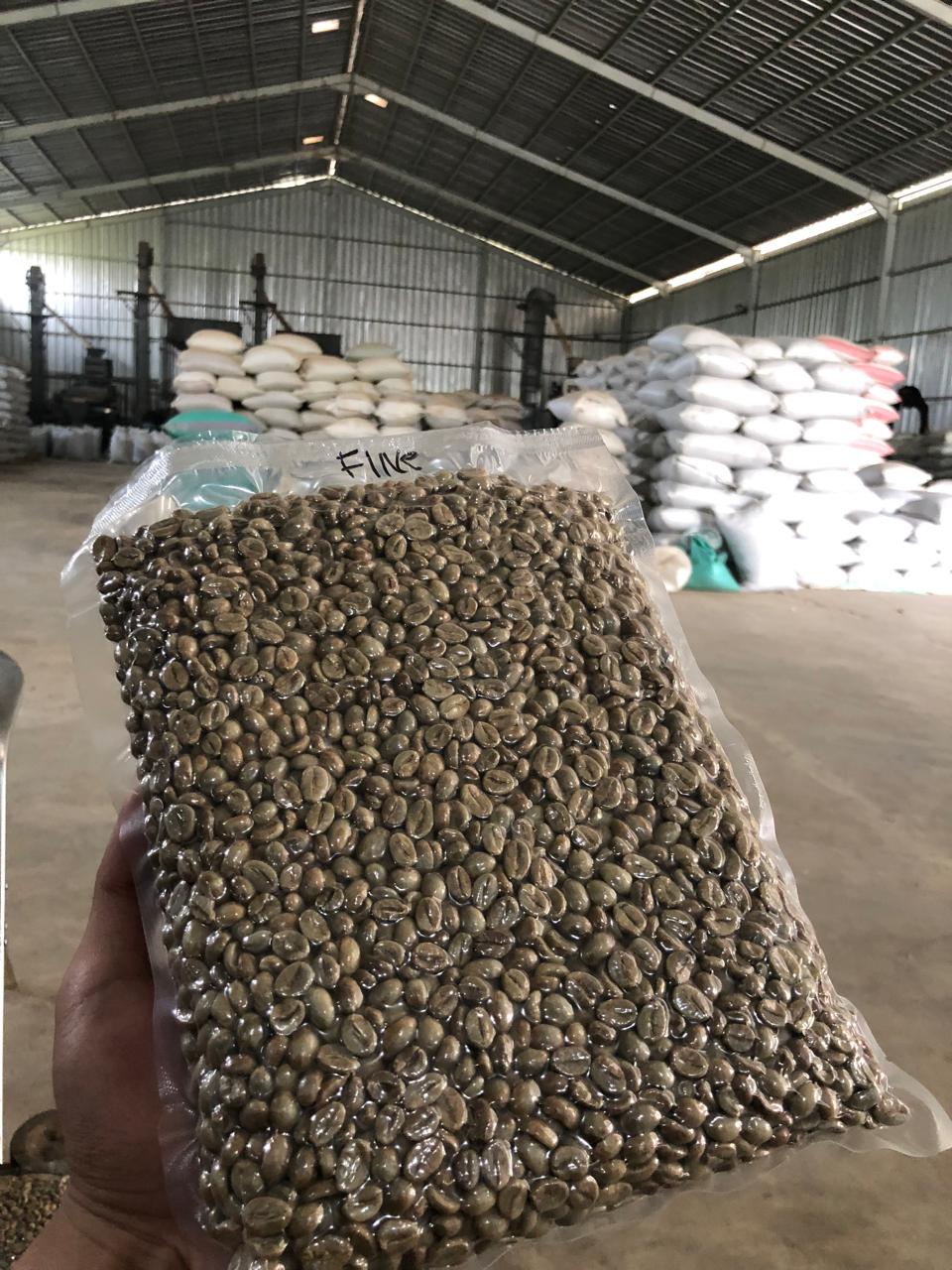 Palletized coffee bags in warehouse
